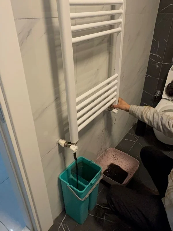 şile petek temizliği